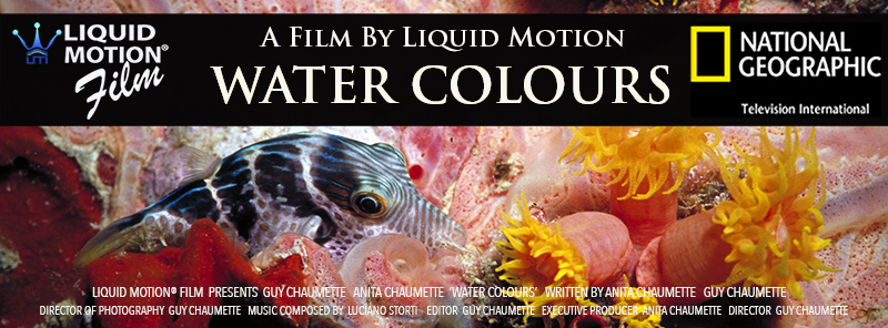 Liquid Motion Film & National Geographic Channel & Underwater Film Producer & Underwater Cameraman & Underwater Cinematographer & Underwater Film Services & Water Colours